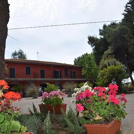 Il bracconiere-2